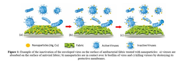 Figure about inactivation of the virus on the surface of antibacterial fabric treated with nanoparticles
