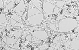 Boron Nitride Nanotubes TEM Microscope image