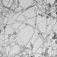 Boron Nitride Nanotubes TEM Microscope image